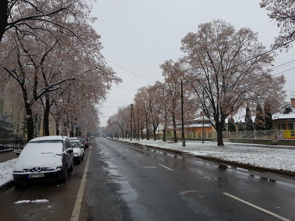 Lia Apartman Kiskunhalas Bagian luar foto
