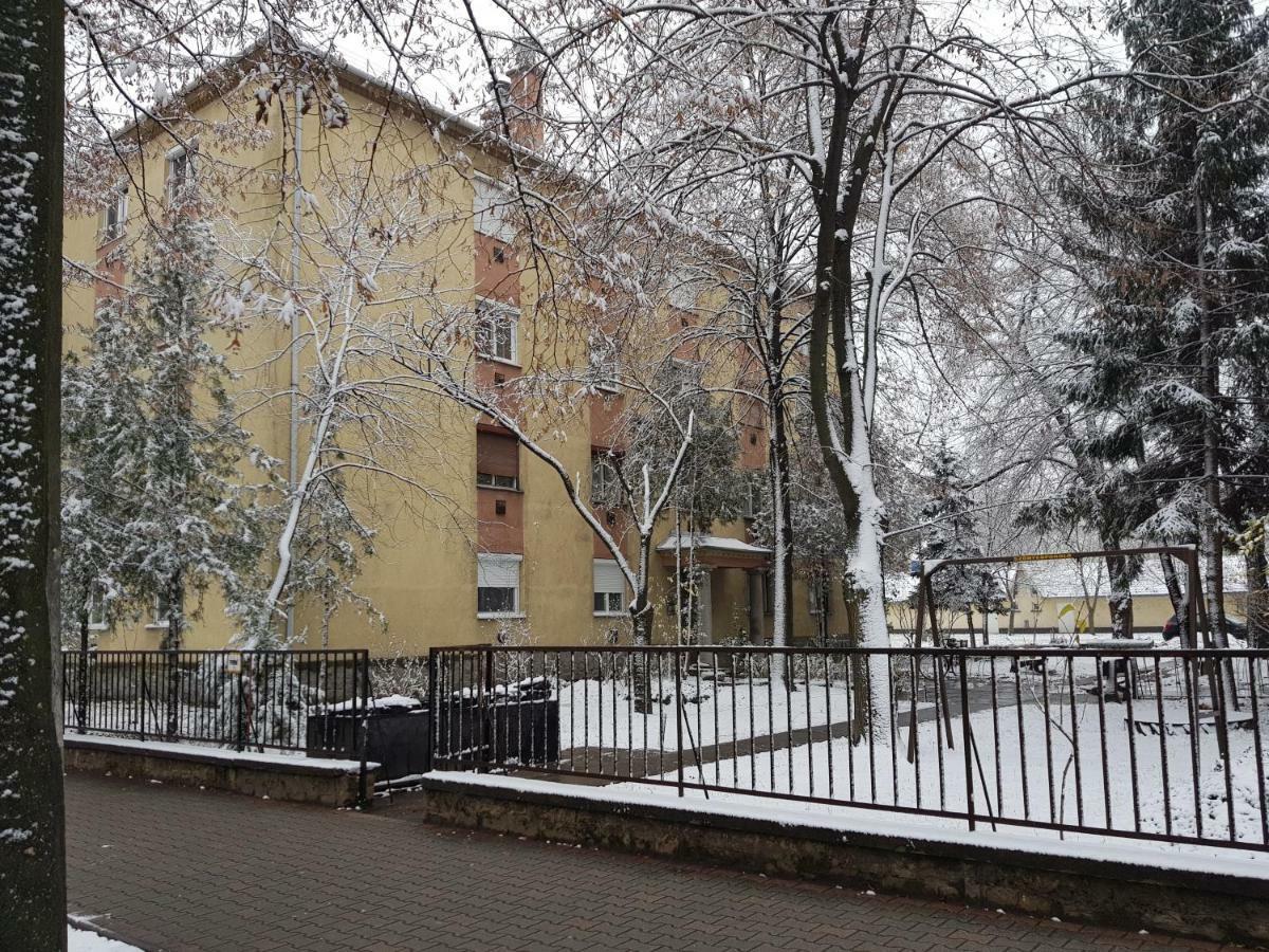 Lia Apartman Kiskunhalas Bagian luar foto